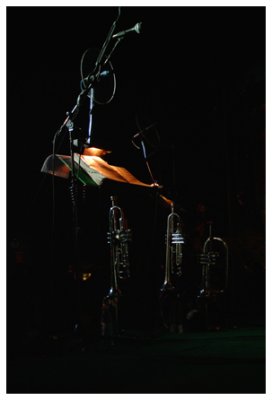 horns-01web.jpg