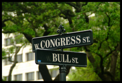 Congress & Bull 