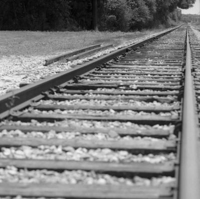 Rail Road Tracks / Lutz, FL