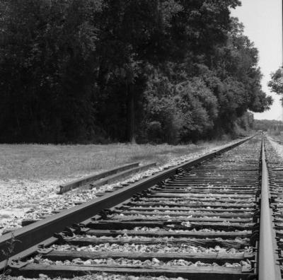 Rail Road Tracks / Lutz, FL