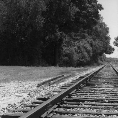 Rail Road Tracks / Lutz, FL