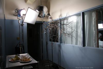 BranchShadow3697.jpg