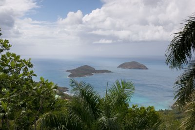 _MG_8011.jpg
