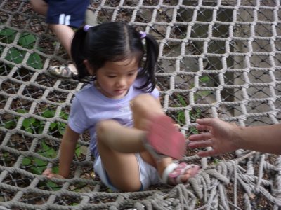 P1000529.JPG