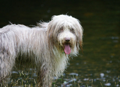 Simmons Park_2.jpg