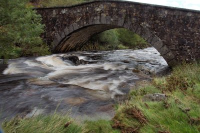 Dartmoor Stream