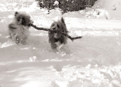 Oke Snow_9.jpg