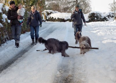 Oke Snow_10.jpg
