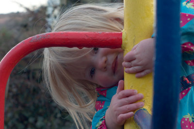 31stJan2010_22.jpg