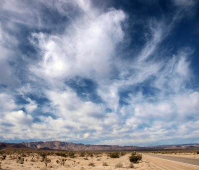 Desert 1.jpg