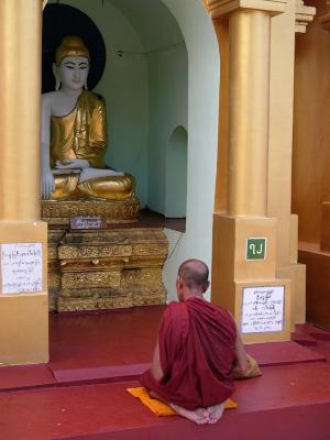 A monk in yangon