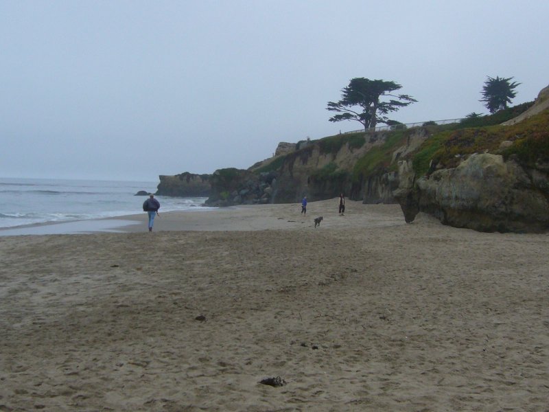 Mike and Cibo on beach
