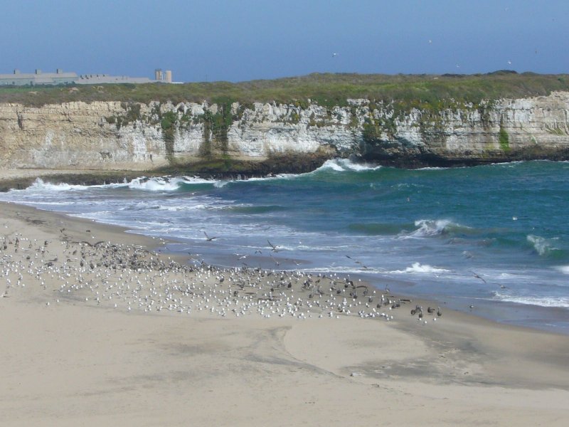 The Beach at Wilder