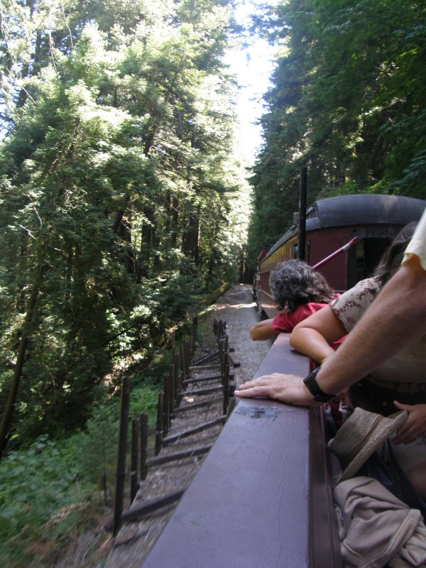 Down the track