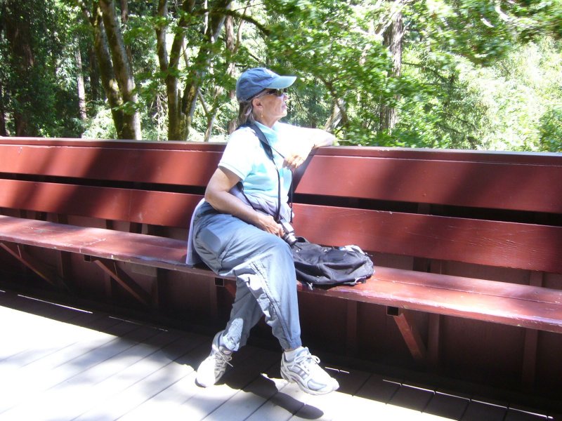 Jane on the Train