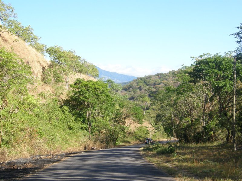 View from the Road