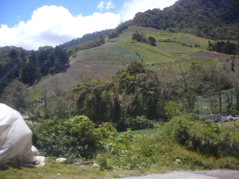 Farming