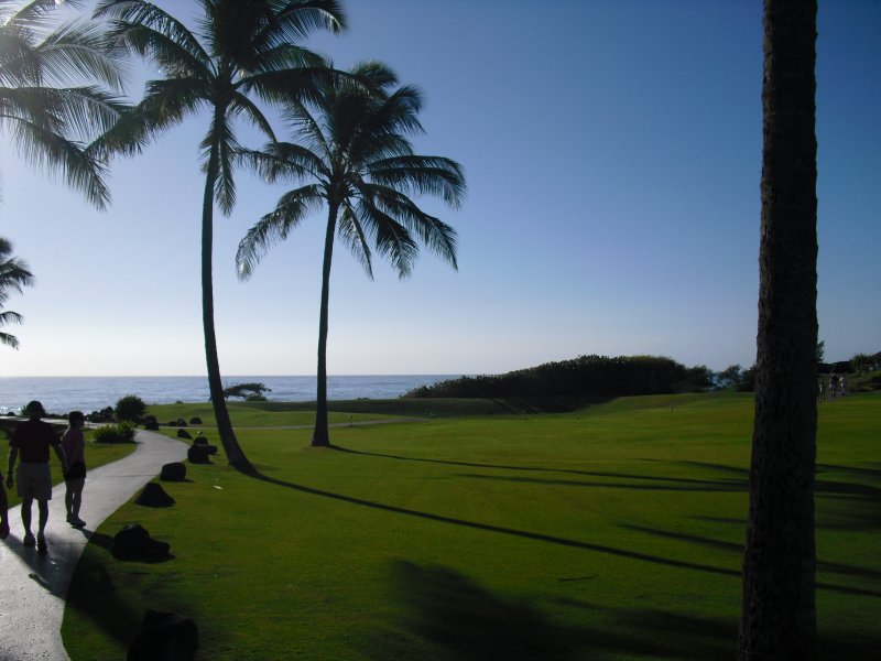 The Grounds