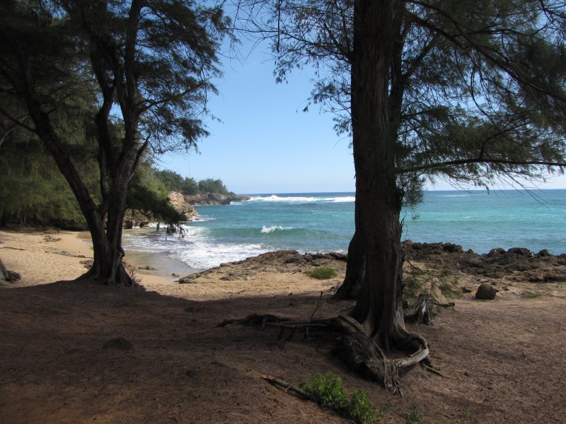 Beach Scene