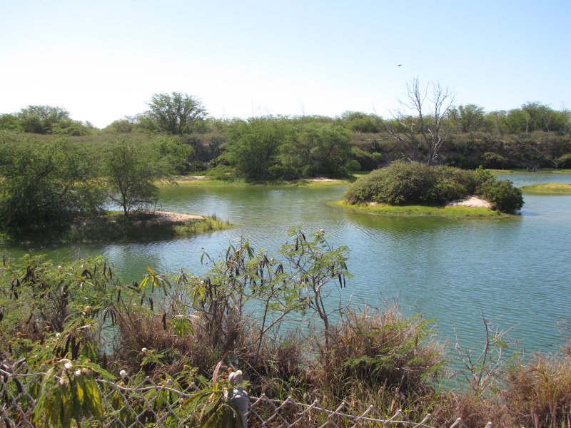 Bird Sanctuary