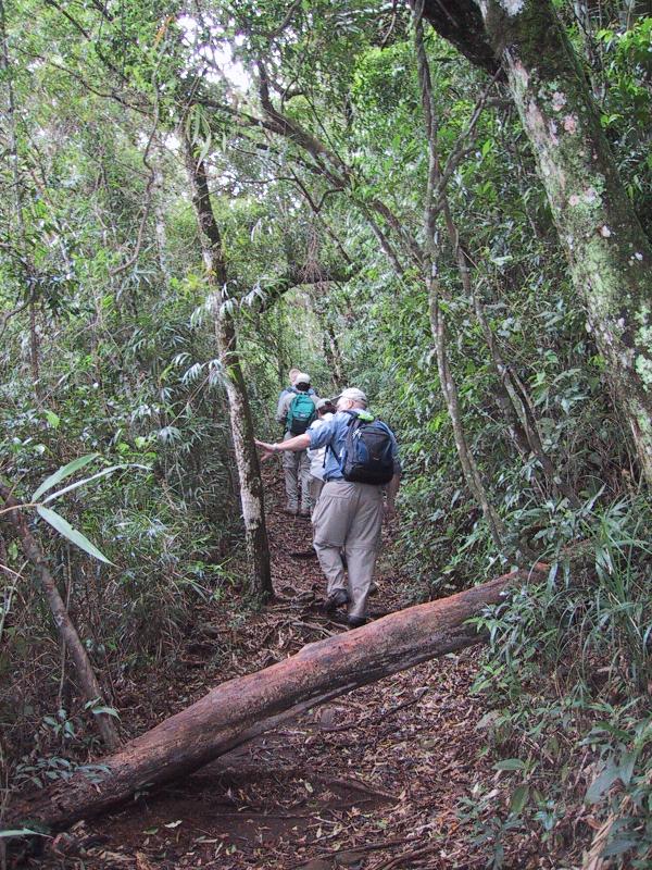 Up the trail