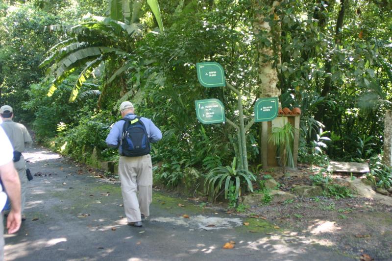 Birding at Park