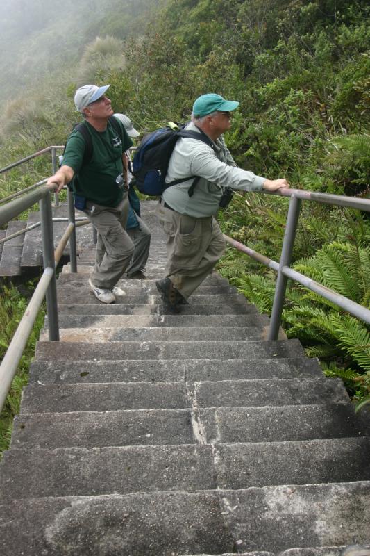More High Altitude Birders