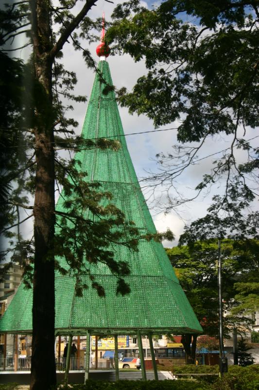 Christmas Tree of Plastic Bottles