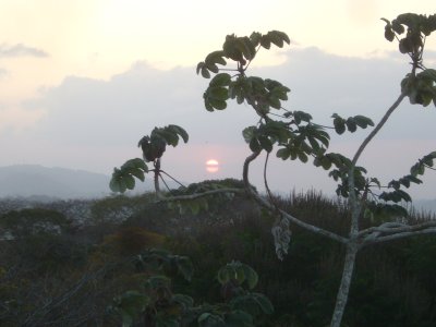 Sunrise Over the Pacific -go figure