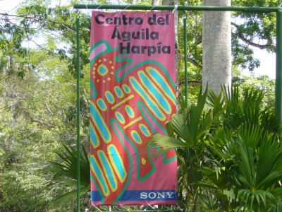 Harpy Eagle Museum Sign