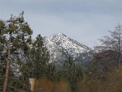 In San Jacinto Mountains