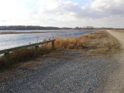 Bombay Hook, DE