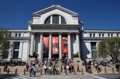 Smithsonian Museum of Natural History