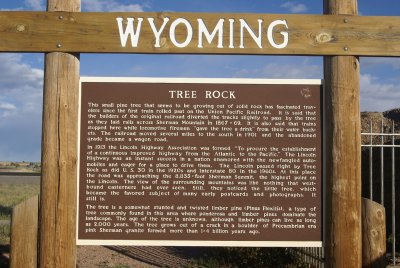 Tree Rock. southern Wyoming