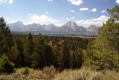 Mt. Moran and Jackson Lake, top of Signal Mountain