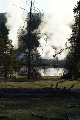 Early morning steam across the Yellowstone River