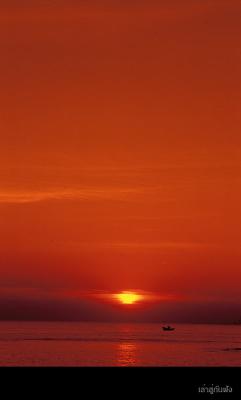 Image1497 copy.jpg