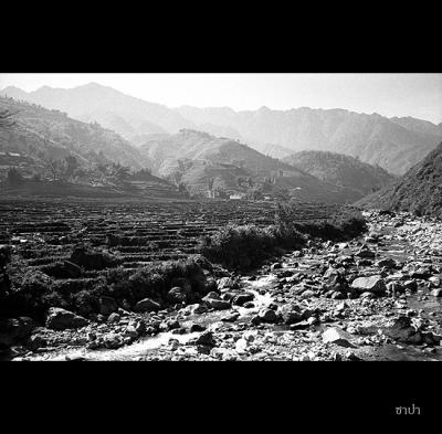 Sapa028 copy.jpg