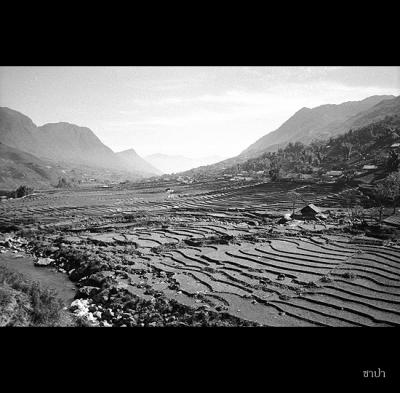 Sapa030 copy.jpg