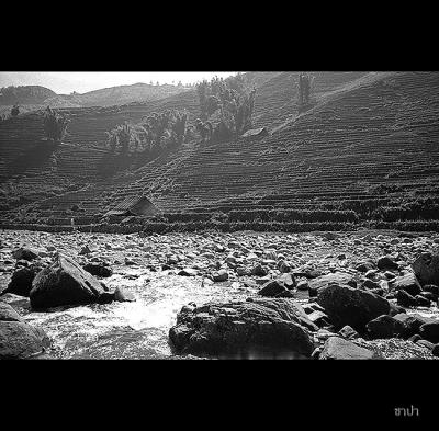 Sapa033 copy.jpg