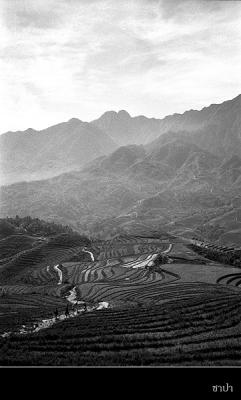 Sapa034 copy.jpg