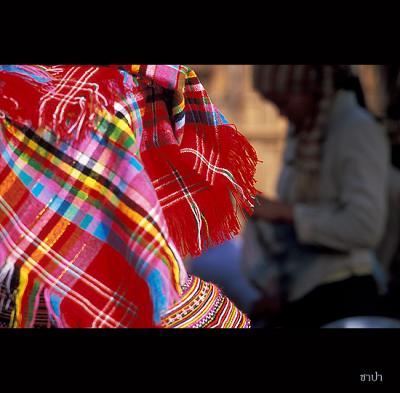 Sapa039 copy.jpg