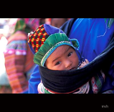 Sapa045 copy.jpg