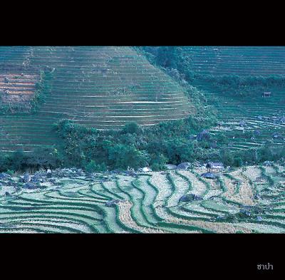 Sapa086 copy.jpg