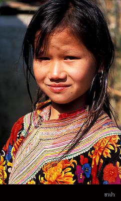 Sapa093 copy.jpg