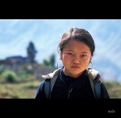 Sapa121 copy.jpg