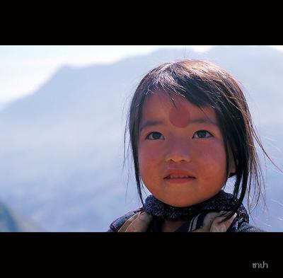 Sapa137 copy.jpg