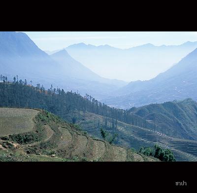 Sapa138 copy.jpg
