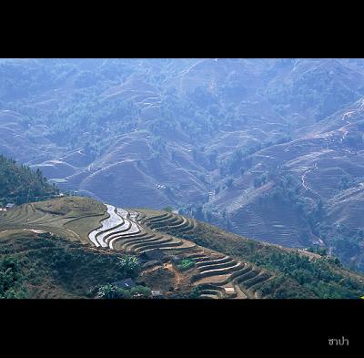 Sapa140 copy.jpg
