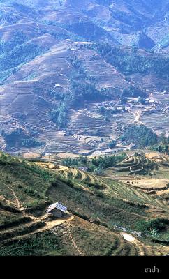 Sapa141 copy.jpg